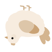 A cream and beige chicken