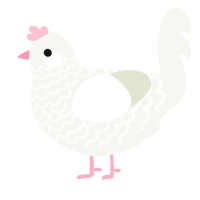 A white chicken with a lace pattern