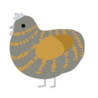 A ash and gold chicken with a bar pattern