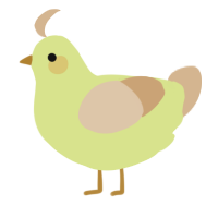 A lemon and beige chicken