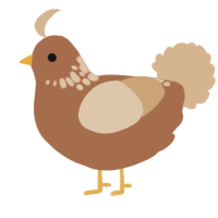 A brown and beige chicken with a neck-speckle pattern
