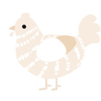 A cream chicken with a bar pattern