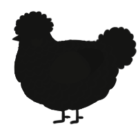 A black chicken with a lace pattern
