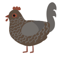 A bark and grey chicken with a lace pattern