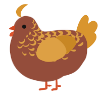 A russet and orange chicken with a half-lace pattern