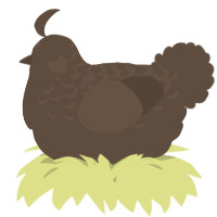 A bark chicken with a half-lace pattern