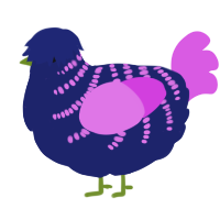 A navy and orchid chicken with a half-bar pattern