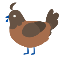 A brown and bark chicken with a head pattern