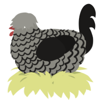 A ash and sable chicken with a lace pattern