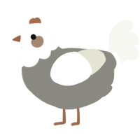 A ash and white chicken with a head pattern