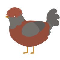 A russet and grey chicken with a head pattern