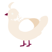A cream chicken with a neck-speckle pattern