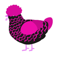 A sable and fuchsia chicken with a lace pattern