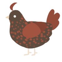 A bark and russet chicken with a speckle pattern