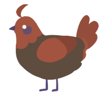 A bark and russet chicken with a head pattern