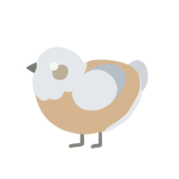 Hawk, a beige and mist chicken with a head pattern