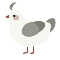 A white and ash chicken