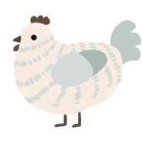 A cream and silver chicken with a bar pattern
