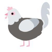 A grey and mist chicken with a head pattern