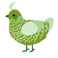 A chartreuse and gluppy chicken with a lace pattern