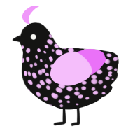A black and lavender chicken with a speckle pattern