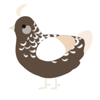 A bark and cream chicken with a half-lace pattern