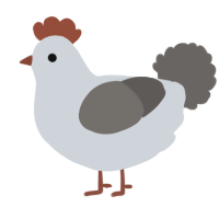 A mist and grey chicken