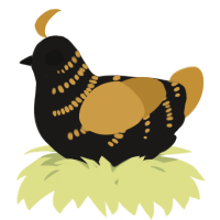 A sable and gold chicken with a half-bar pattern