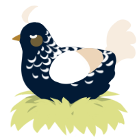 A tumblr and cream chicken with a half-lace pattern