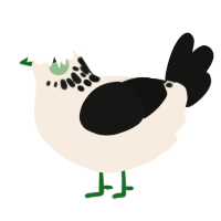 A cream and black chicken with a neck-speckle pattern