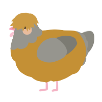 A gold and ash chicken with a head pattern