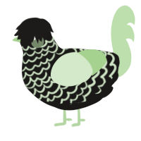 A sable and gluppy chicken with a lace pattern