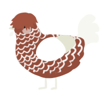 A russet and white chicken with a lace pattern