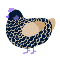 A tumblr and beige chicken with a lace pattern