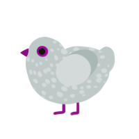 (unnamed), a silver chicken with a speckle pattern