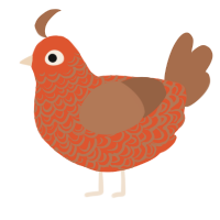 A vermilion and brown chicken with a double-lace pattern
