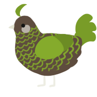 A bark and chartreuse chicken with a lace pattern