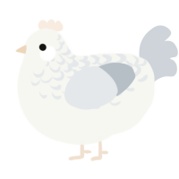 A white and mist chicken with a half-lace pattern
