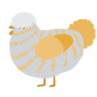 A mist and honey chicken with a bar pattern