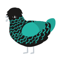 A sable and turquoise chicken with a lace pattern