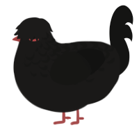A sable and black chicken with a half-lace pattern