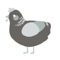 A grey and silver chicken with a neck-band pattern