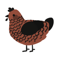 A russet and black chicken with a lace pattern