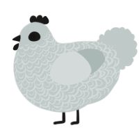 A silver chicken with a double-lace pattern