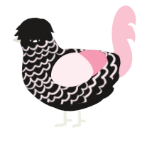 A sable and rose chicken with a lace pattern