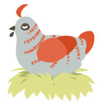 A silver and vermilion chicken with a half-bar pattern