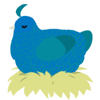 A sapphire and sea chicken with a double-lace pattern
