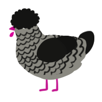 A ash and black chicken with a lace pattern