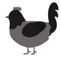 A grey and sable chicken with a head pattern