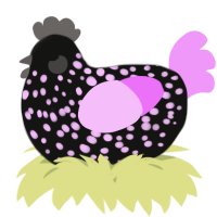 A black and lavender chicken with a speckle pattern